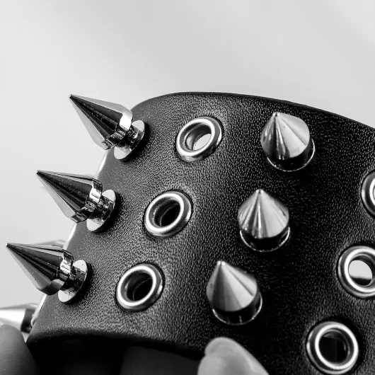 81Pxa4svMvL._AC_SL1500_