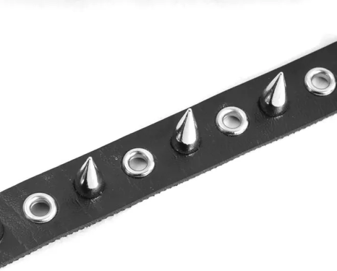 61orWamhO0L._AC_SL1500_