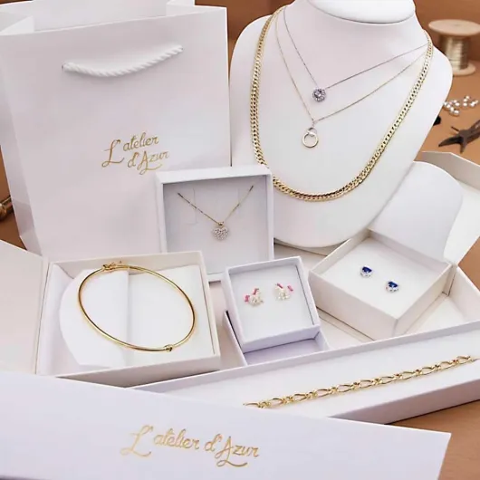 51T4iguyVEL._AC_SL1000_