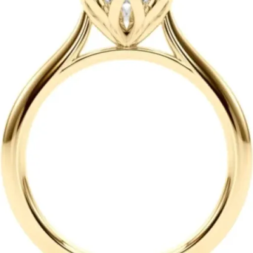 Test Bague de fiançailles solitaire diamant 0,50 carat IGI : le classique en labo qui fait le job