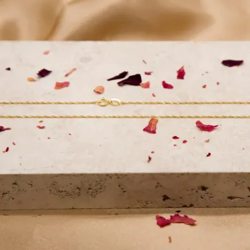 Test Maille Gourmette Chaîne Femme CARISSIMA : une petite chaîne fine pour tous les jours